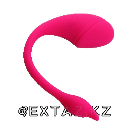 Sharp tail қосымшасы арқылы басқарылатын діріл от sex shop Extaz фото 3