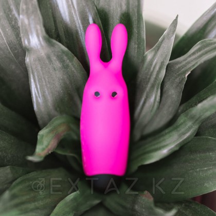 Қалта қоянының дірілдеткіші Lastic pocket vibe Rabbit Adrien Lastic от sex shop Extaz фото 2