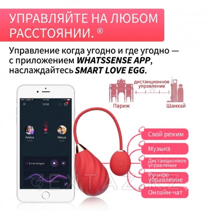 Magic Motion sundae app діріл жұмыртқасы, қызыл от sex shop Extaz фото 4