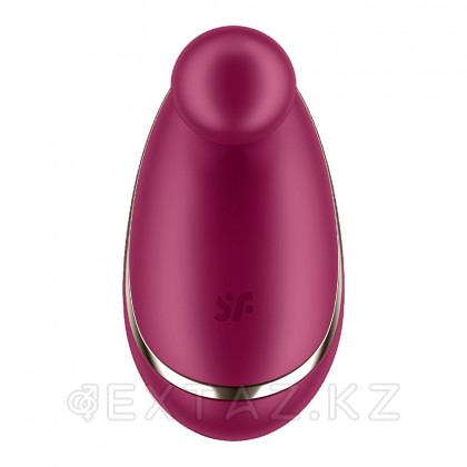 Стимулятор клитора Satisfyer Spot On бордовый - extaz.kz фото 3 Клитор стимуляторы Satisfyer Spot бор Бургундия от sex shop Extaz фото 3