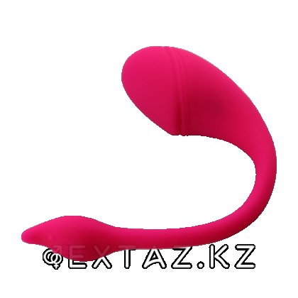 Sharp tail қосымшасы арқылы басқарылатын діріл от sex shop Extaz фото 4