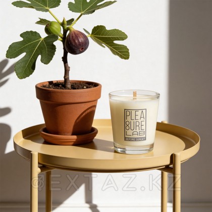 Pleasure Lab midnight sun массаж шамы 50 мл от sex shop Extaz фото 6