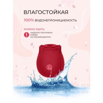 Кішкентай қызыл раушан клиторлық стимуляторы от sex shop Extaz фото 6