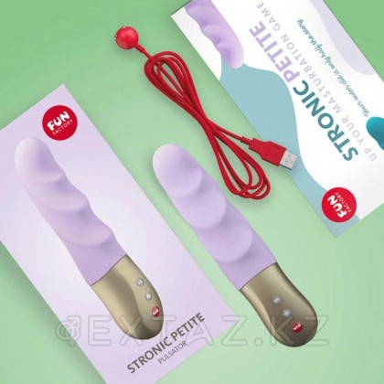 Көңілді фабрикадан stronic petite күлгін шағын пульсаторы от sex shop Extaz фото 4