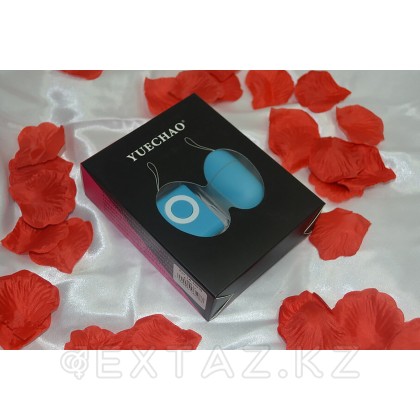 Вибро яйцо с пультом, 20 режимов от sex shop Extaz