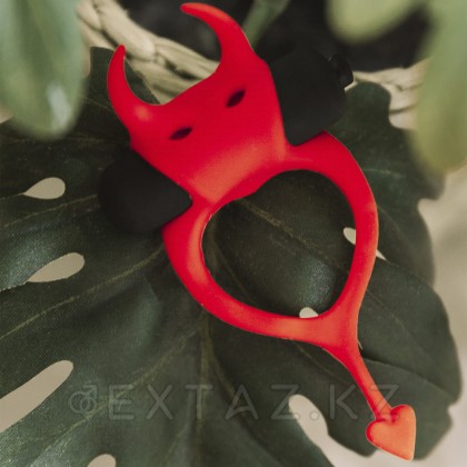 Devol Adrien Lastic эрекциялық сақинасы от sex shop Extaz фото 4