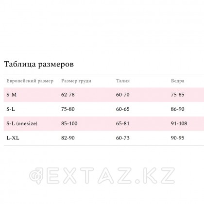 Боди ересек кружевной Amor el Siero S / M от sex shop Extaz фото 2