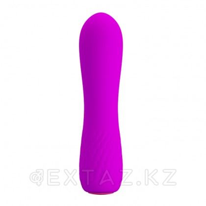 Мини вибратор перезаряжаемый Beau (11,9 см.) от sex shop Extaz фото 7