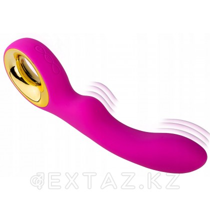 Вибратор от Lealso (  не работает зарядка)  от sex shop Extaz