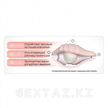 FEMINTIMATE ұсынған pelvix интимдік бұлшықет жаттығулары жинағы от sex shop Extaz фото 4