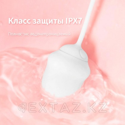 Қашықтан басқару пультіндегі DryWell Scarlett діріл жұмыртқасы от sex shop Extaz фото 7