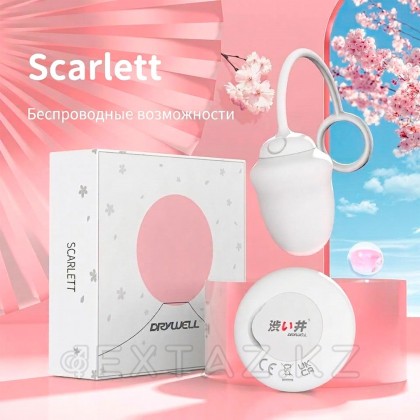 Қашықтан басқару пультіндегі DryWell Scarlett діріл жұмыртқасы от sex shop Extaz фото 5
