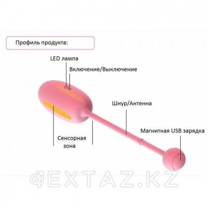 Тренажер Кегеля Magic Motion Kegel Coach, розовый - extaz.kz фото 10 Magic Motion Kegel жаттықтырушысы қызғылт от sex shop Extaz фото 10