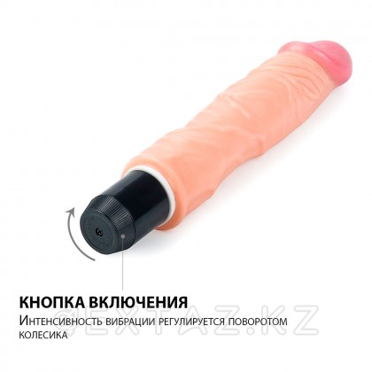 Иілгіш реалистік Вибратор (23,5 х 3,6 см.) от sex shop Extaz фото 3
