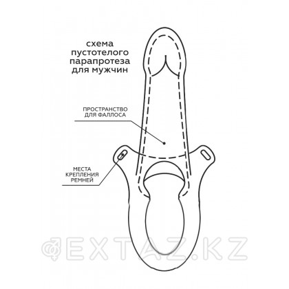 Dildo ұсынылды белдік қуыс бинтпен (19 см.) от sex shop Extaz фото 5