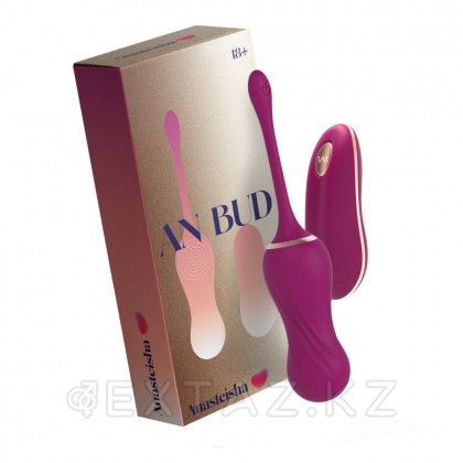 Қынаптық виброшарики AN Bud басқару пультімен бастап Anasteisha от sex shop Extaz фото 2
