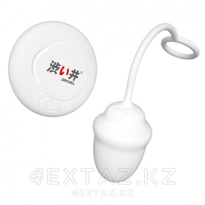 Қашықтан басқару пультіндегі DryWell Scarlett діріл жұмыртқасы от sex shop Extaz