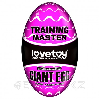 Мастурбатор жұмыртқа Stamina Nodules күлгін от sex shop Extaz