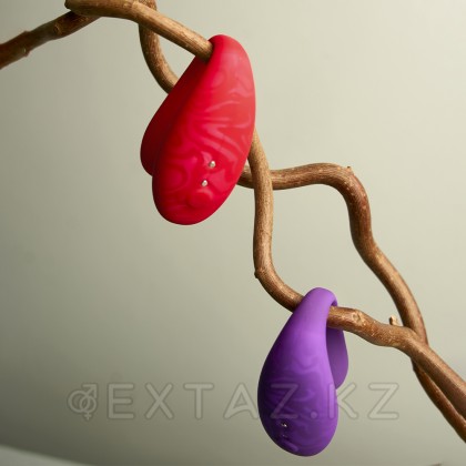 Amovibe күлгін қолданбасы арқылы басқарылатын tween + жұп вибраторы от sex shop Extaz фото 4