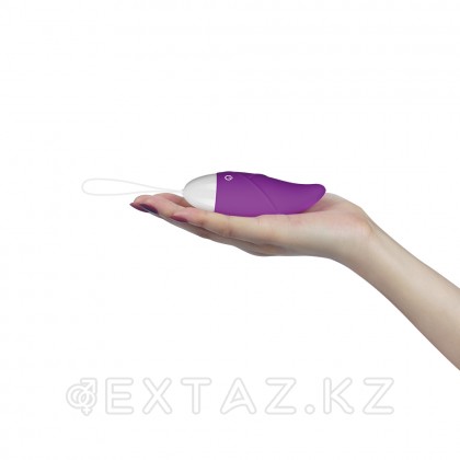 Вибро яйцо с пультом IJOY (фиолетовый) от sex shop Extaz фото 2