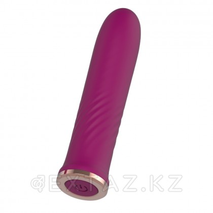Anasteisha ұсынған AN Stalk талғампаз миниатюралық діріл массажы от sex shop Extaz