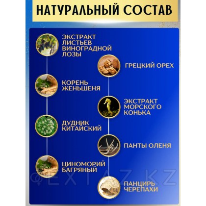 Ескі капитан от sex shop Extaz фото 2