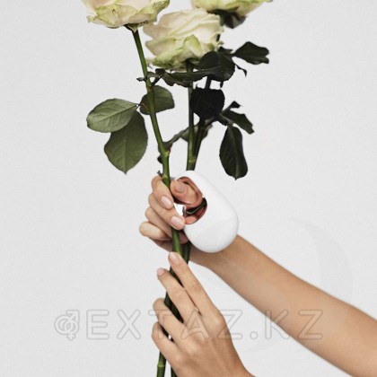 Клиторальный вибратор Satisfyer White Temptation от sex shop Extaz фото 2