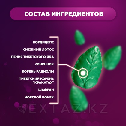 Мужчин арналған қоздырғыш HERB VIAGRA (өсімдік виагра) 10 қойынды. от sex shop Extaz фото 7