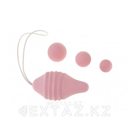 FEMINTIMATE ұсынған pelvix интимдік бұлшықет жаттығулары жинағы от sex shop Extaz