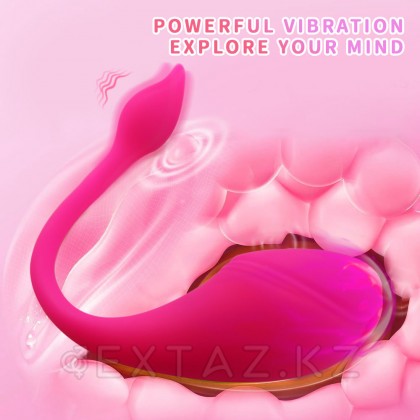 Sharp tail қосымшасы арқылы басқарылатын діріл от sex shop Extaz фото 8