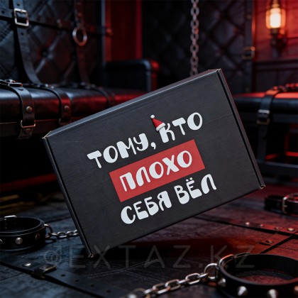 Қорап 315*215*81 