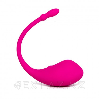 Lovense 