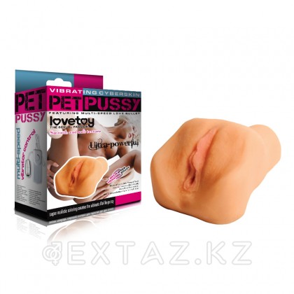 Мастурбатор - Вагина (копия снятая со знаминитой порнозвезды Denisa) от sex shop Extaz