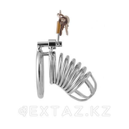 Металлические оковы для члена от sex shop Extaz фото 2