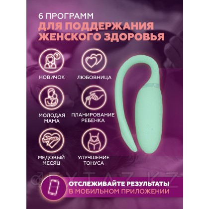 Magic Motion Flamingo Smart вибраторы от sex shop Extaz фото 5