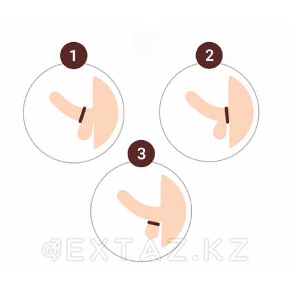 Эрекционное кольцо от sex shop Extaz фото 2