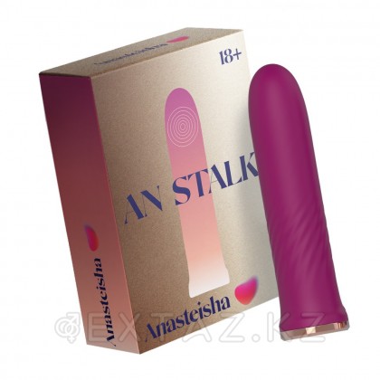 Anasteisha ұсынған AN Stalk талғампаз миниатюралық діріл массажы от sex shop Extaz фото 2