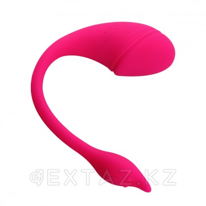 Sharp tail қосымшасы арқылы басқарылатын діріл от sex shop Extaz фото 3