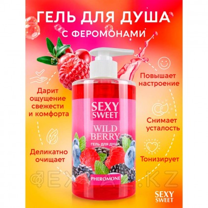 Гель для душа WILD BERRY с феромонами, 430 мл - extaz.kz фото 3 430 мл ФЕРОМОНДАРЫ бар жабайы Берри Душқа Арналған Гель. от sex shop Extaz фото 3