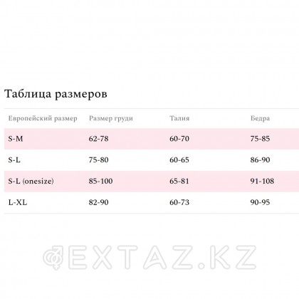 Amor el Tina эротикалық іш киім жиынтығы, қара, S / M от sex shop Extaz фото 2