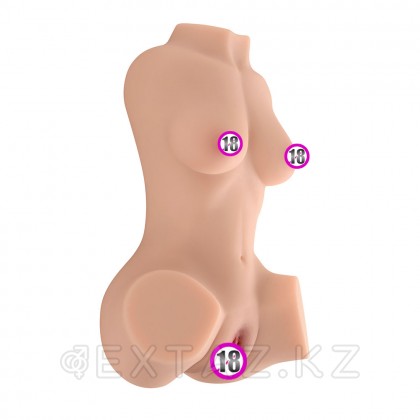 Сексуалдық әйелдер торс қынаппен және ануспен Susie от sex shop Extaz фото 5