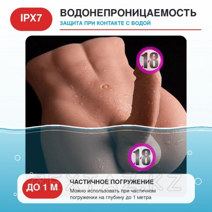 Stallion фаллусымен шынайы ерлер денесі от sex shop Extaz фото 8