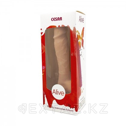 Қыздар мен кисканың фотосы