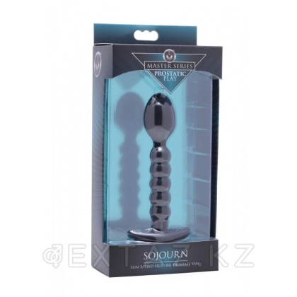 Стимулятор простаты Sojourn, 12 см - Prostatic Play Черный от sex shop Extaz фото 3