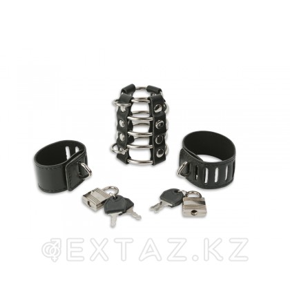 Оковы на член от sex shop Extaz фото 2