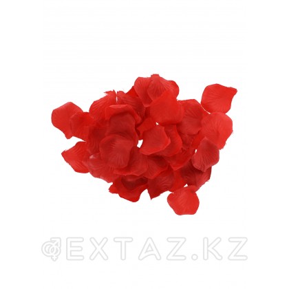 Любовный набор Lovetoy Starter Kit Черный от sex shop Extaz фото 6