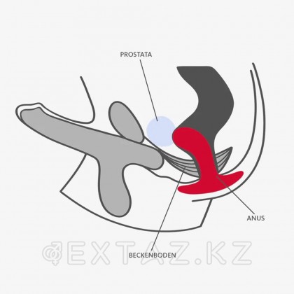 Bootie (M) анальды тығын Көңілді фабрикадан қара от sex shop Extaz фото 4