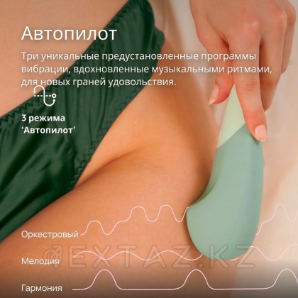 Клиторальный вибратор Womanizer Vibe түсі шалфей от sex shop Extaz фото 15