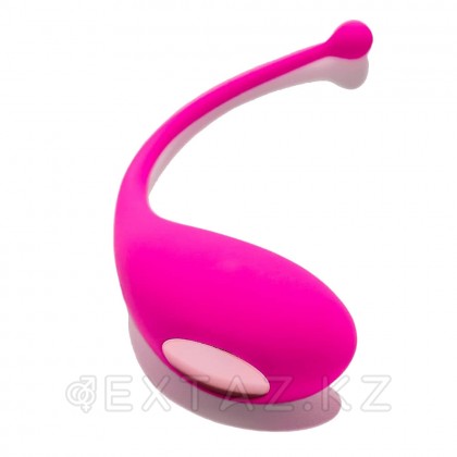 Adrien Lastic ұсынған Palpitation фуксия діріл жұмыртқасы (қолданбамен синхрондау) от sex shop Extaz фото 4