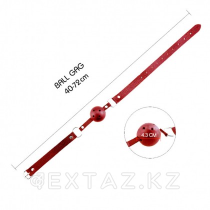 Alive Discretion ауыз гагы, қызыл от sex shop Extaz фото 2